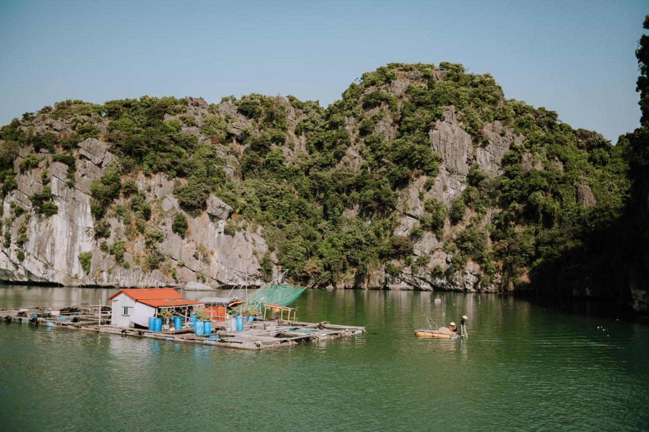 Отель Cat Ba Bay Cruises Dong Khe Sau Экстерьер фото